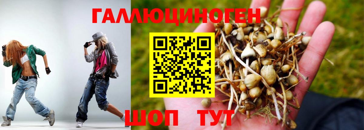Псилоцибиновые грибы GOLDEN TEACHER  продажа наркотиков  Анжеро-Судженск  Вход с VPN 